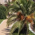 S'incantu Aparthotel Villasimius